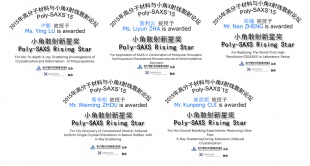 ln2015_01_polysaxs-awards.petit.jpg
