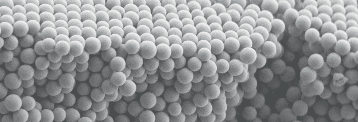 Size distribution of Gold Nanoparticles