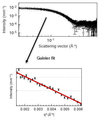 Molecular weight