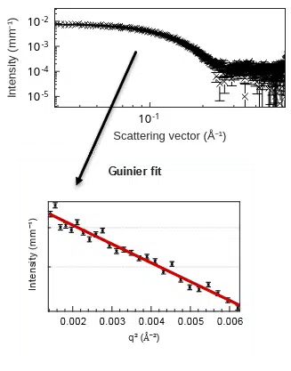 Molecular weight