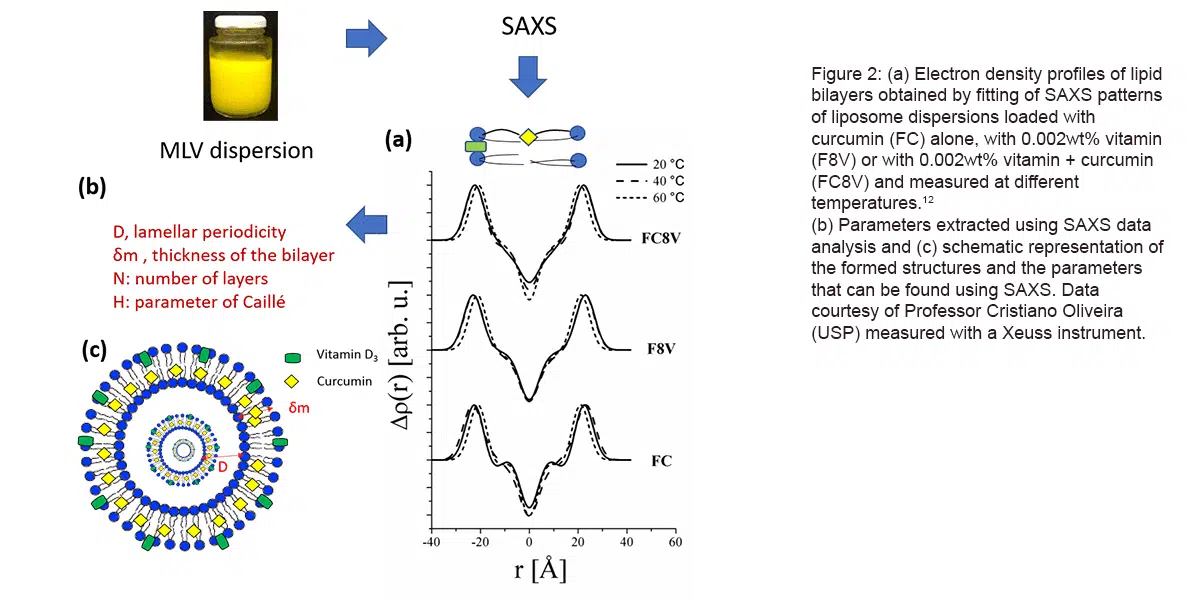 SAXS_lipid bilayers