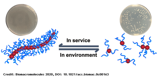 Antibiotics_publication_SAXS