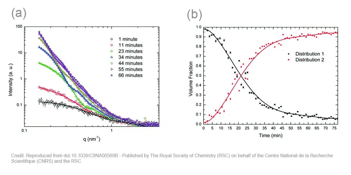 SAXS Nanoparticles