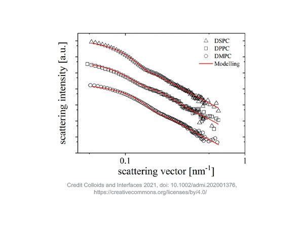 LIPOSOME ULTRA A・C・E 45g Amazon.com: Liposomal Alpha Lipoic Acid 1400mg Softgels, ALA