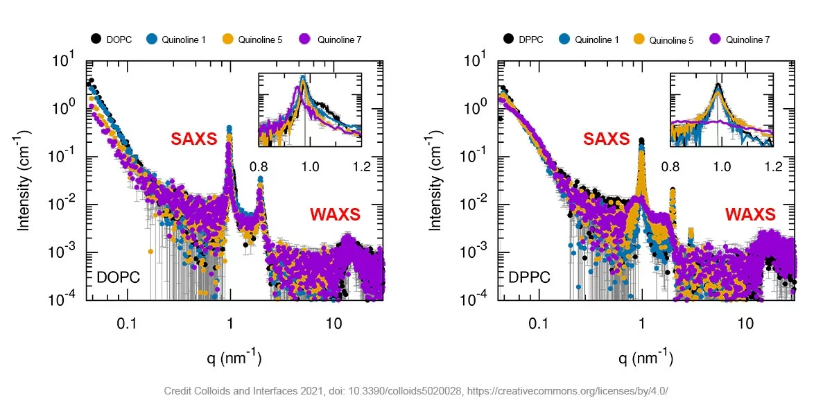 Liposome-SAXS