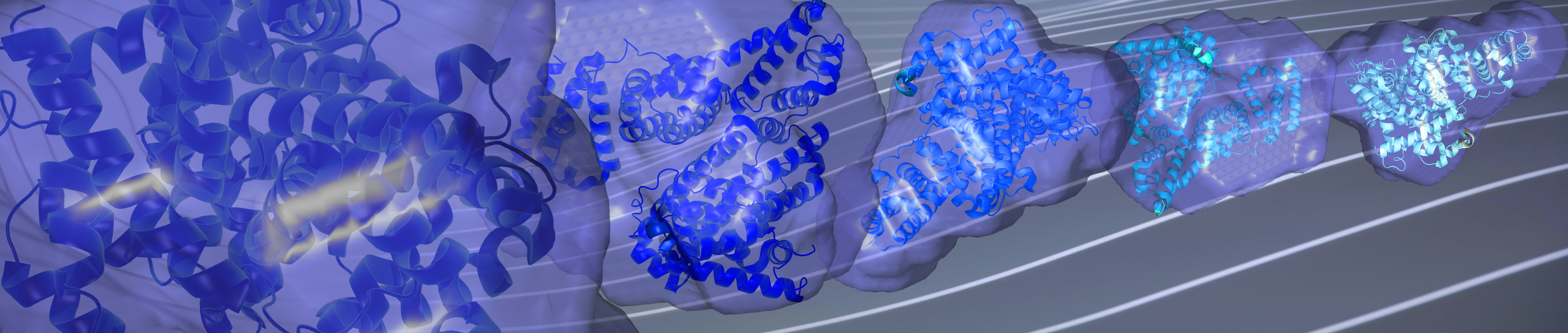 Characterization of protein self-association