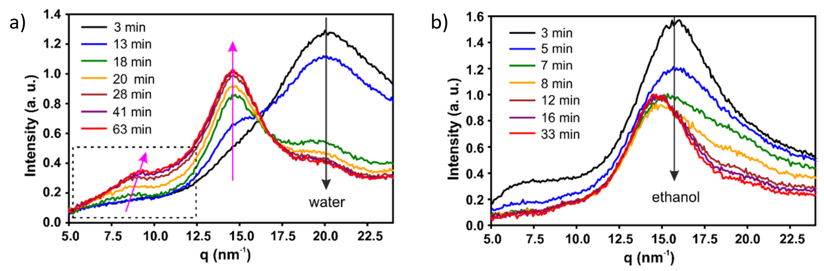 Crystalline order evolution of cellulose beads during drying investigated by WAXS