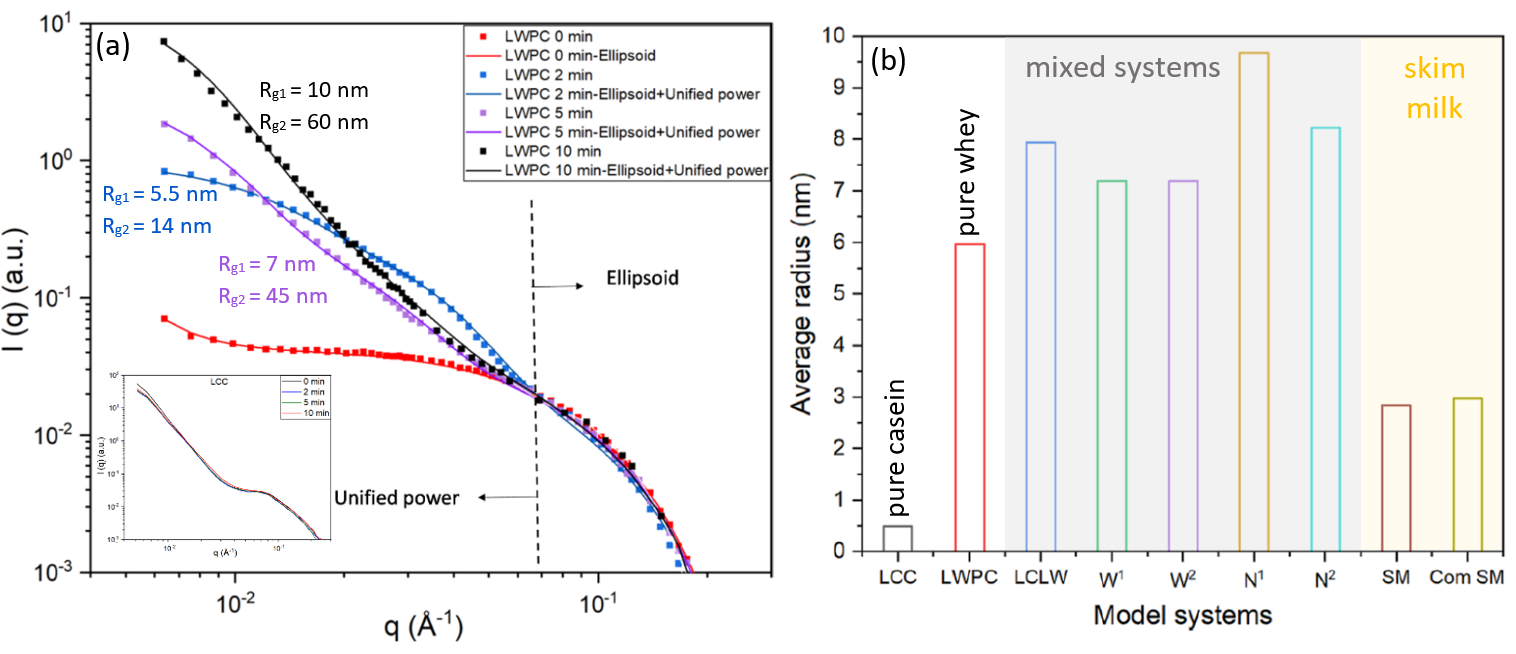 Structural Changes of Milk Model Systems during Heat Treatment