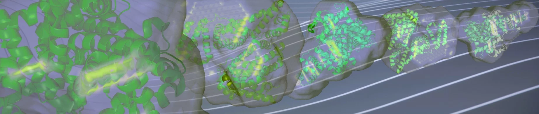 Characterization of protein intermolecular interactions