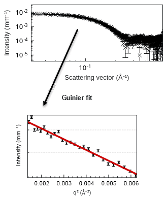 SAXS_analysis_lysozyme_Guinier fit