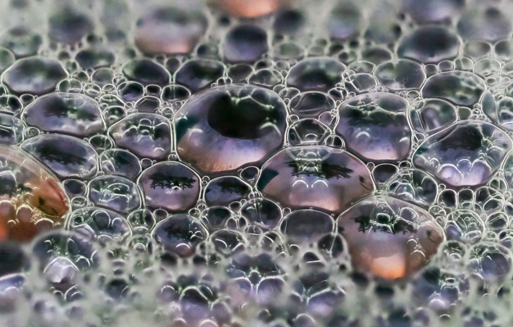 Vesicles - Biological Membranes - Effect Of Oxidation